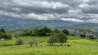 Terreny residencial a Cangas de Onís