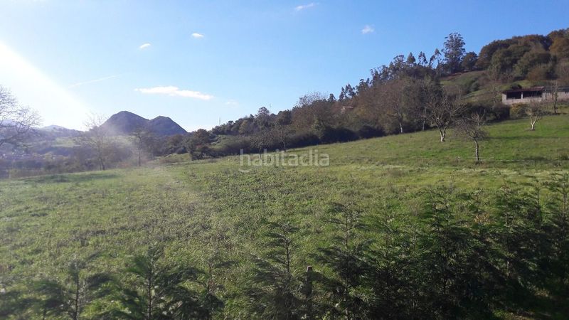 Foto 1fe5ff08-0d8e-487d-8376-6e0fc849bc2d. Terreno residencial finca edificable cerca de arriondas en Parres