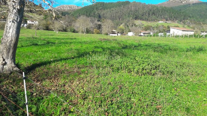 Foto 84f1b216-1451-43fe-938d-a7231c9c10ea. Terreno residencial finca edificable cerca de arriondas en Parres