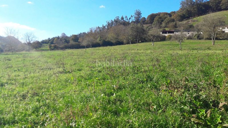 Foto f7a412d3-d3fc-4a8b-a75c-8188ecb00c7c. Terreno residencial finca edificable cerca de arriondas en Parres