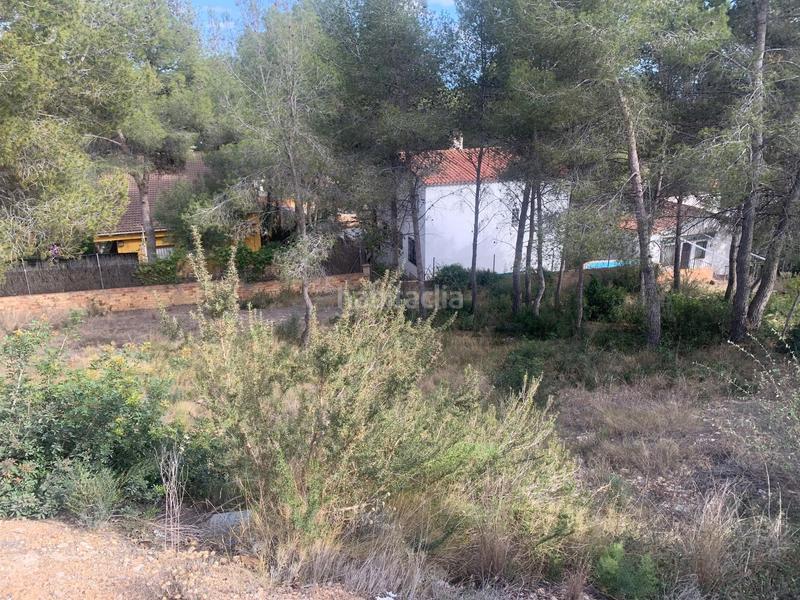 Foto 2aafacd8-5f2f-4f0d-b645-e31b08b3a340. Terrain résidentiel dans Pobla de Montornès (La)