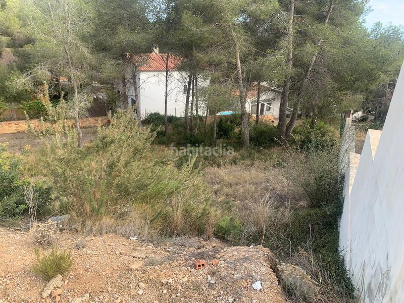 Foto 86f0c6a7-a601-4b60-9fb7-1cd1d8c2a51a. Terrain résidentiel dans Pobla de Montornès (La)