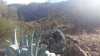 Terreno residenziale in Valsequillo de Gran Canaria. Tres parcelas en la zona de los montes en valsequillo.