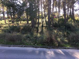 Residential Plot in Corbera de Llobregat