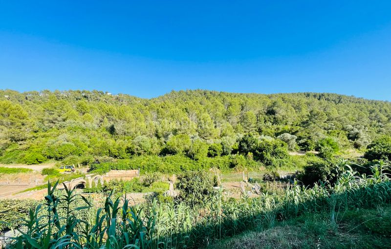 Foto 63a4ae33-3a85-46e6-91c4-efa4d0d47b4c. Dúplex amb calefacció a Corbera de Llobregat