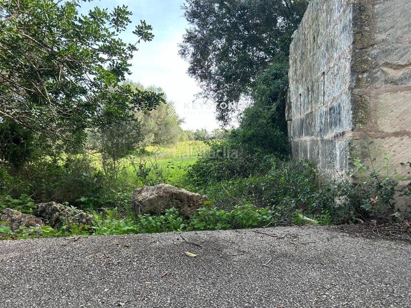 Foto 16a5b210-b9a6-4bbc-810b-f2e66b63b797. Fondo rustico in Muro