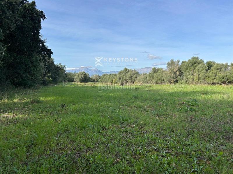 Foto a0e10090-2840-43de-820e-240cc3f94f61. Fondo rustico in Muro