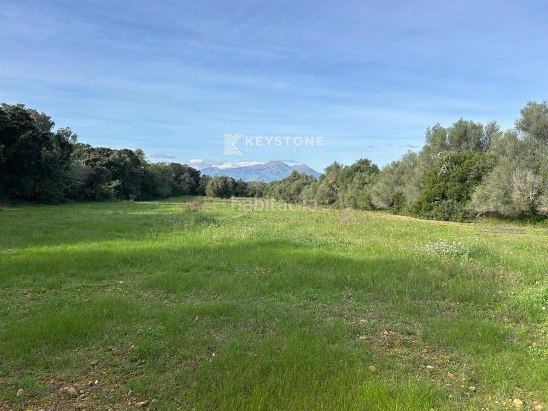 Foto a4d4a97c-eb0c-4c6b-a2d2-2d271b4bec5e. Fondo rustico in Muro