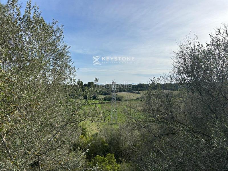 Foto fcf9dd7b-12a5-4c28-b01e-cd9803f21175. Fondo rustico in Muro