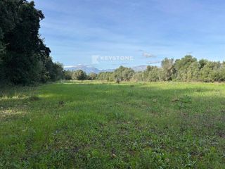 Finca rústica en Muro. Terreno rural aislado en venta  22.300 m con vistas al mar cerca