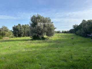 Finca rústica a Muro. Terreno rústico en venta  22.300m en muro, mallorca