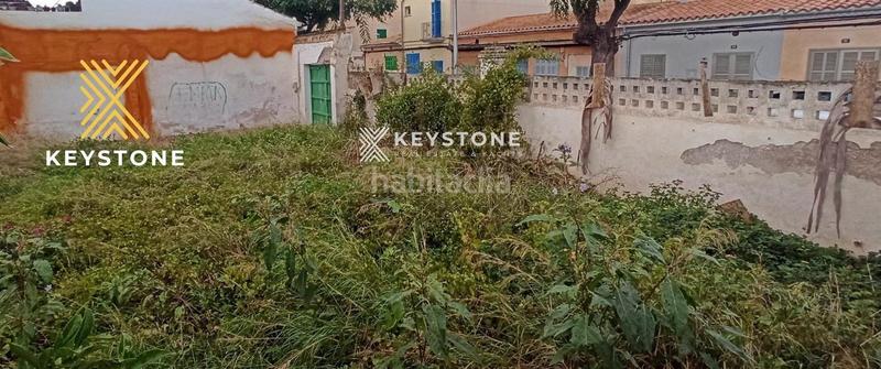 Foto 1991ec25-fe17-4445-9fd7-18f95bd0dd5e. Fondo rustico in Porto Cristo Manacor