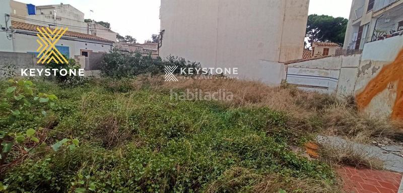 Foto 76836d40-8213-47be-8378-3734de0bf582. Fondo rustico in Porto Cristo Manacor