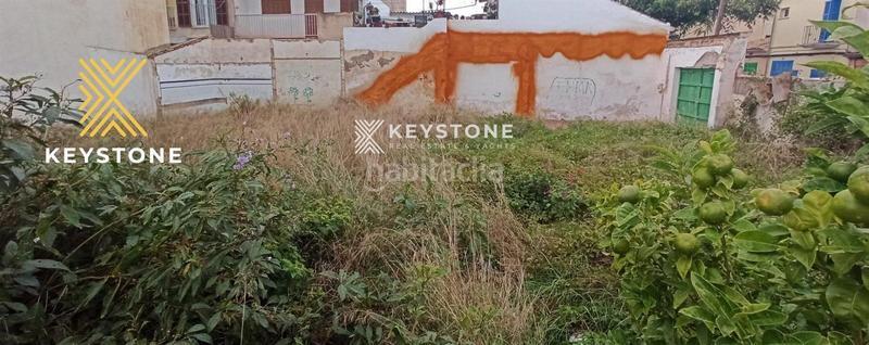 Foto e2d0b093-b77a-42b1-b55d-5fe77e56da9f. Fondo rustico in Porto Cristo Manacor