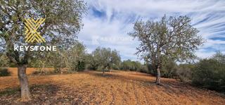 Finca rústica  Major. Se vende terreno rustico en campos