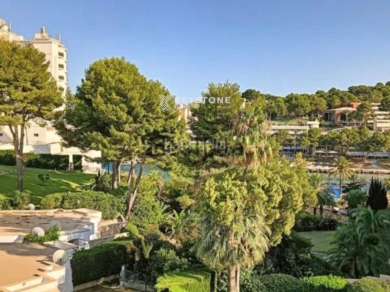 Foto d032b791-3de4-475f-b84a-e154d071b611. Alquiler piso se alquila piso en cala vinya primera línea en Calvià