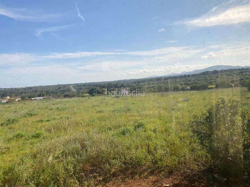 Foto a46116b5-3e09-4e1c-994d-4517cb8e1626. Haus mit parking pool in Porto Cristo Manacor