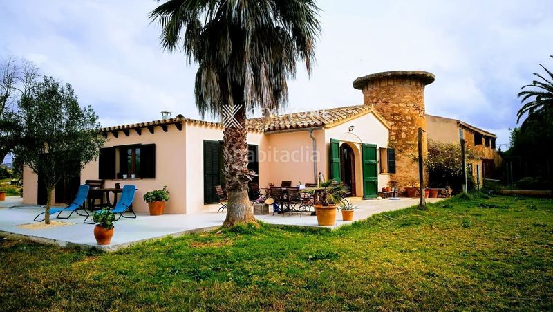 Foto 14a19761-3ccf-4374-9b3f-5fb30767d5d5. Affitto chalet con piscina in Sa Casa Blanca Palma de Mallorca