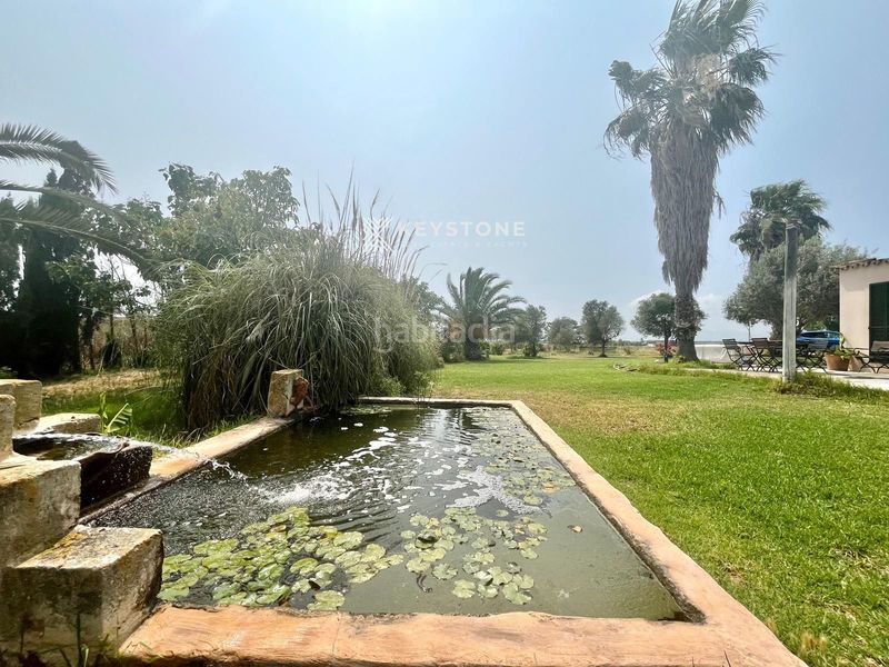 Foto f5c53edf-2289-4441-89a5-2372c4d776d9. Affitto chalet con piscina in Sa Casa Blanca Palma de Mallorca
