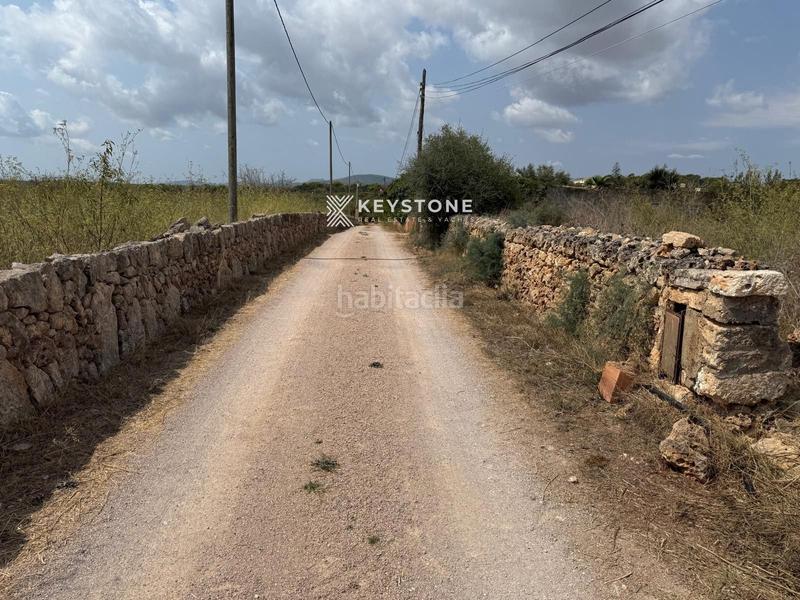 Foto 6ba2d0af-ee59-4ab3-94da-a96223498975. Fondo rustico in Porto Cristo Manacor