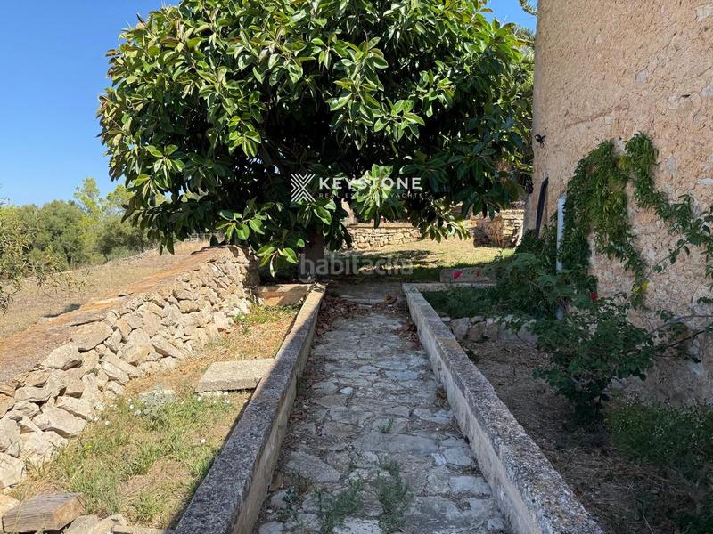 Foto 20fd49b2-447d-453b-8935-40f77ef51b5b. Masia a Manacor centre Manacor