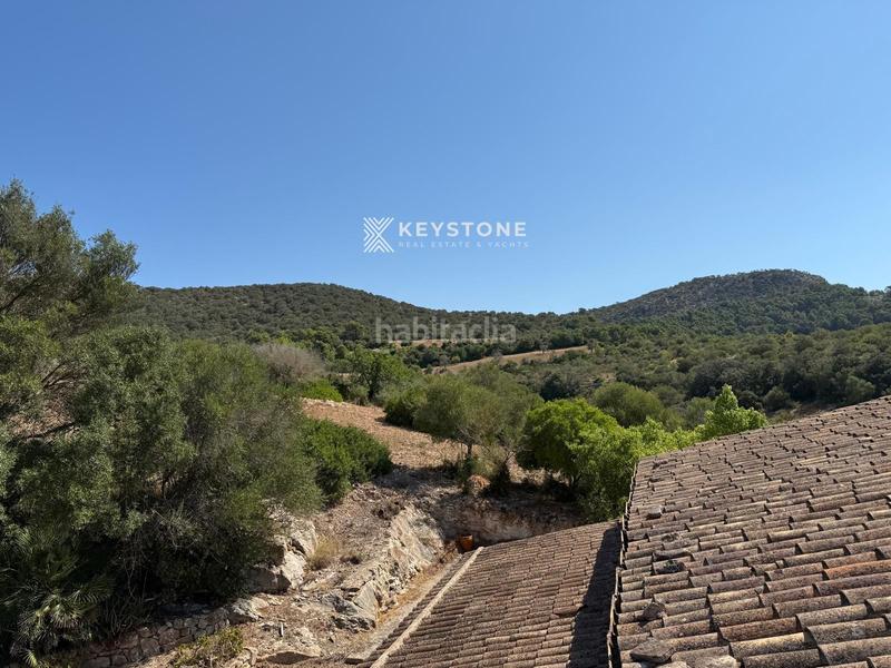 Foto e5d6e327-2efc-4391-8d26-fd96afc9e99c. Masia a Manacor centre Manacor