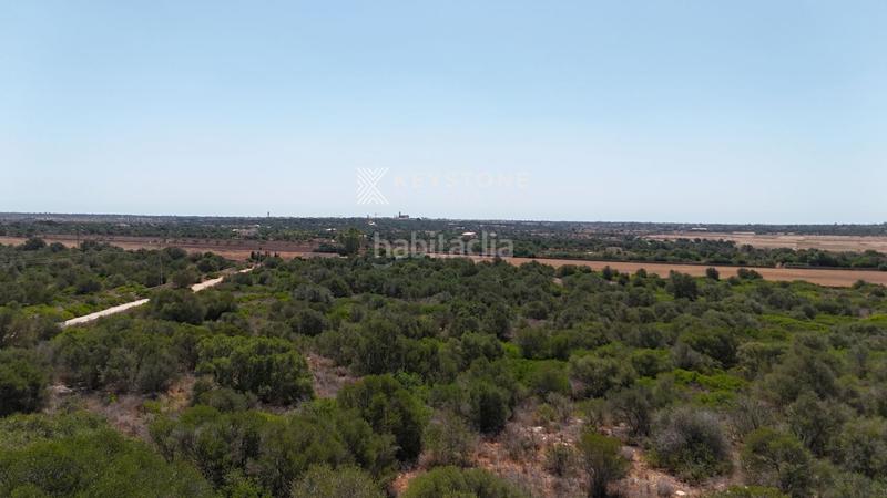 Foto e184a9d8-ba46-441f-9672-001d918272fa. Fondo rustico in Santanyí poble Santanyí