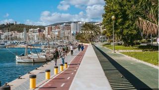 Location Appartement  Avenida gabriel roca,. Alquiler piso en primera linea de mar paseo maritimo