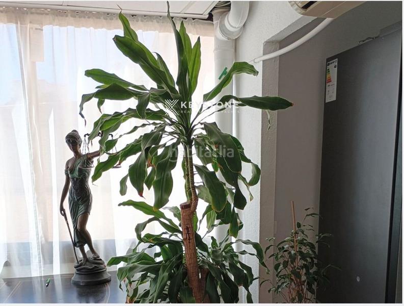 Foto b1b9e7c0-0bf1-48f5-80e8-fe8fe925ed72. Affitto appartamento con parcheggio in Palmanova Calvià