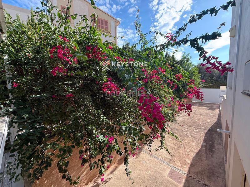 Foto 33dfc138-baf3-42d9-9bd8-38e0f66bd80f. Rent semi detached house with heating pool in La Bonanova Palma de Mallorca