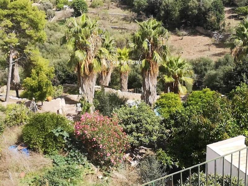 Foto dfbcd335-a696-4d4d-a2e4-6cf0c8be4daa. Casa a schiera con parcheggio piscina in Campanet