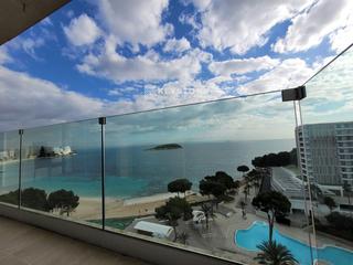 Penthouse in Notary alemani 1