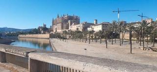 Alquiler Piso  N/a. Excelente zona de palma hiper céntrico , a 5 calles del paseo ma