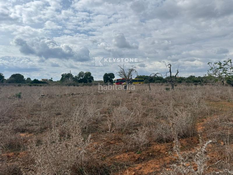 Foto 0930680b-b2cf-4166-9e61-9ab75d174f80. Finca rústica a Porto Cristo Manacor