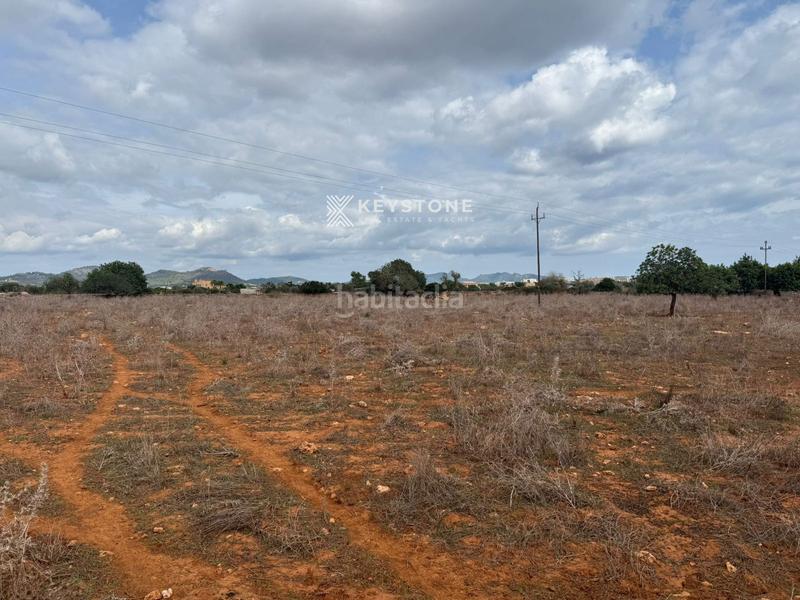 Foto 27289ea1-ebf7-46b3-9384-2e7d7ab152d7. Finca rústica a Porto Cristo Manacor