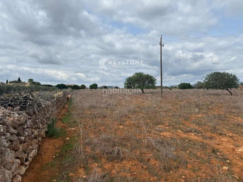 Foto 28117ba6-afd1-4c85-8899-9e8c13308617. Finca rústica a Porto Cristo Manacor