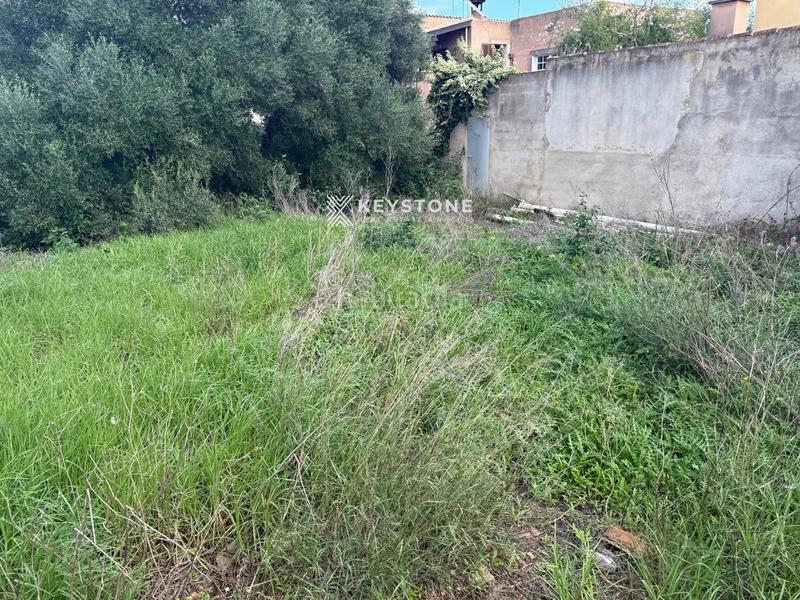 Foto 07bbfea7-36e7-48a6-9e94-bfce728fc9a8. Landgut in Manacor centre Manacor