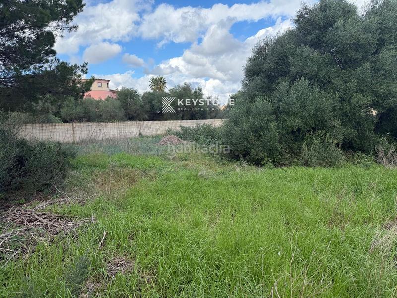 Foto 18b61c40-dd20-48ea-818f-f9a723ab2e84. Landgut in Manacor centre Manacor