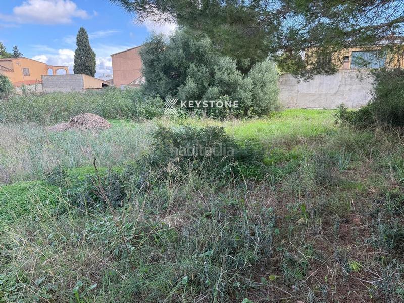 Foto 265d2839-8d95-4ed2-bfef-77c34aaa3272. Landgut in Manacor centre Manacor