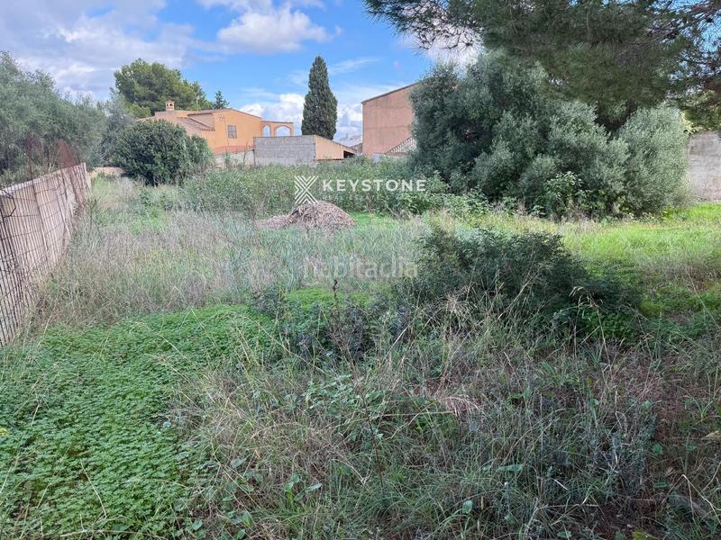 Foto 8bee2751-3348-41f0-8c5c-f70f424a8c98. Landgut in Manacor centre Manacor