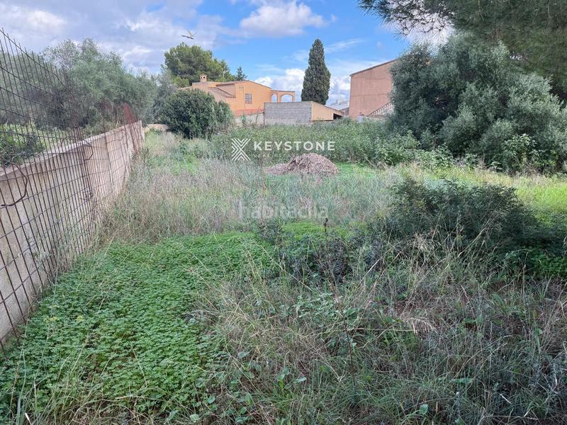 Foto ca31995d-7a26-4e2d-9e70-3130a7da6c34. Landgut in Manacor centre Manacor