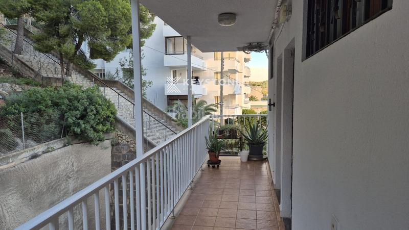 Foto 1d1ef4ff-d0ec-413b-b6b6-e99084e61eda. Affitto appartamento con piscina in Costa de la Calma Calvià