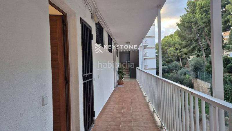 Foto 27b16960-746f-459c-ba31-2721979f7017. Alquiler piso  en alquiler en santa ponsa amueblado con 1 habitación en Calvià