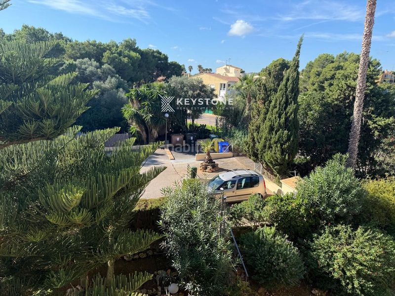 Foto 97303fcd-83a0-4442-8a56-04ef53dff25b. Pis amb piscina a Manacor centre Manacor