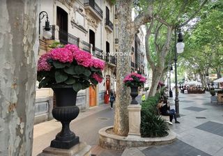 Lloguer Pis a Sant Nicolau. Amplio piso en alquiler en paseo del born