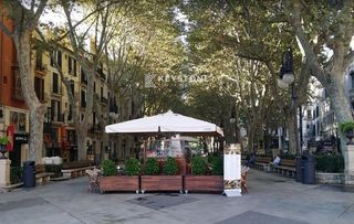 Miete Etagenwohnung in Sant Nicolau. Amplio piso en alquiler en paseo del born