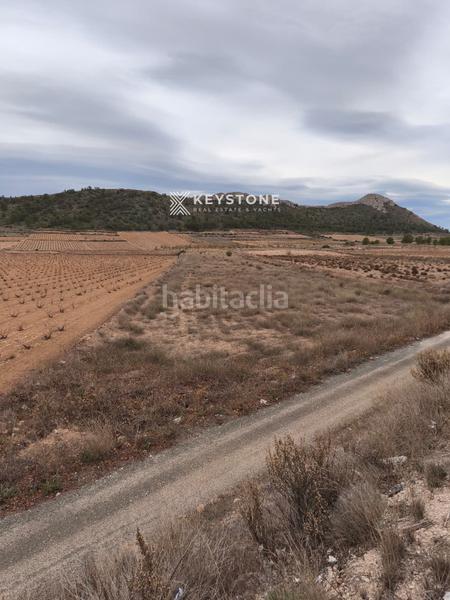 Foto 0a87d431-0295-4a76-8743-cbb7de4f5b9f. Finca rústica keystone vende terreno en abanilla 7.250 m en Algueña