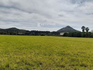 Masia  Ma-13, 6. Finca rustica parcela ma13, 6 alcudia