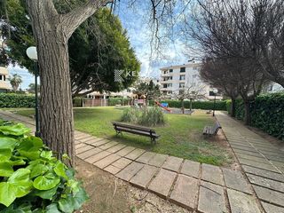 Miete Etagenwohnung  Calle del mascarell, 5. Vivienda luminosa con garaje y piscina cerca de la playa en palm