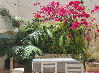 Location Appartement  Calle del capità vila. Keystone alquila  planta baja palma  2.490